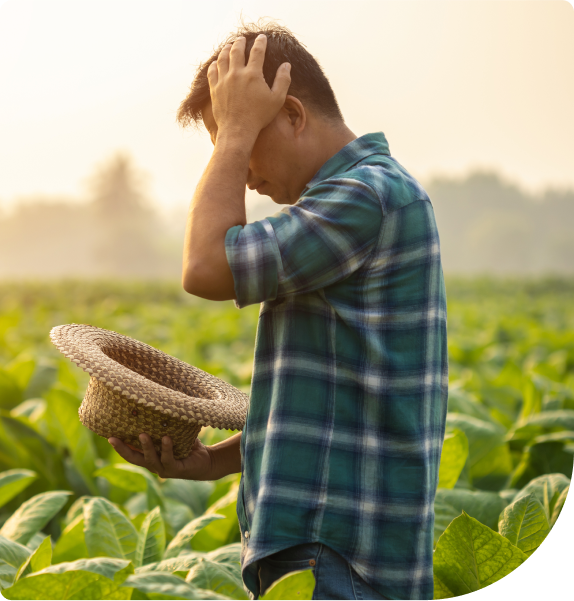 AG Tech Case Study Preview